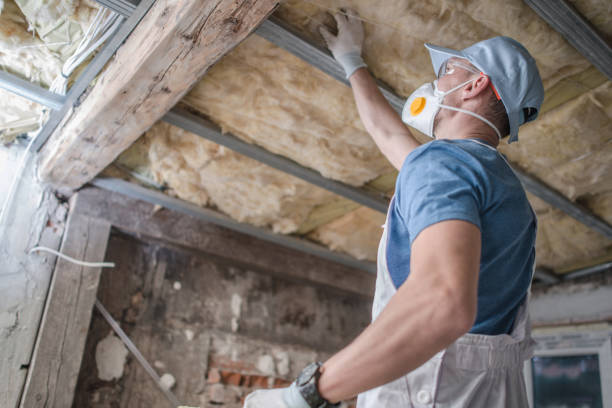 Best Specialty Insulation in Wyoming, MN