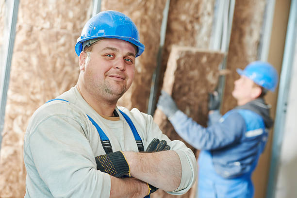 Best Insulation Installation Services in Wyoming, MN
