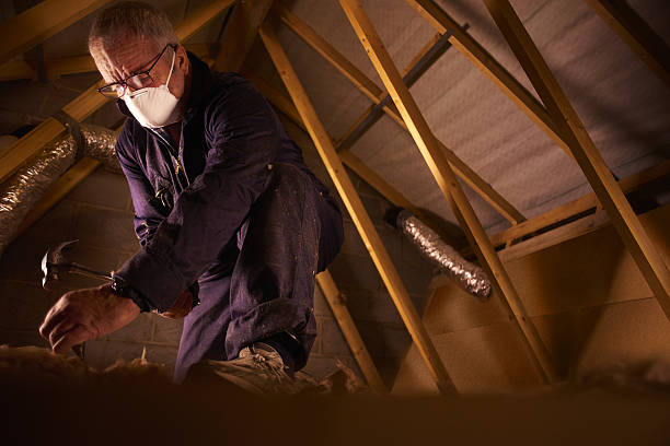 Best Specialty Insulation in Wyoming, MN